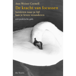 De kracht van focussen